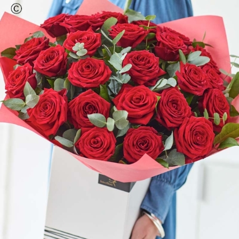 24 Sumptuous Red Roses